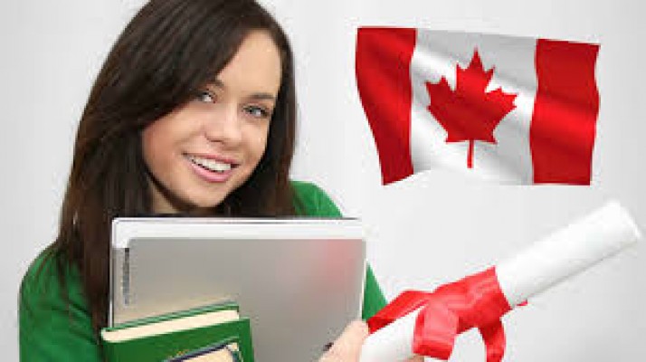 Getting Started What Jobs Are In High Demand In Canada 