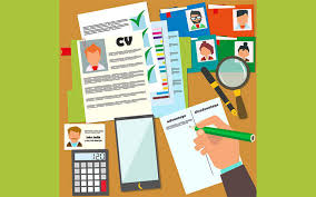 CV format for turkish jobs