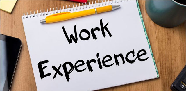 work experience uae cv and resume