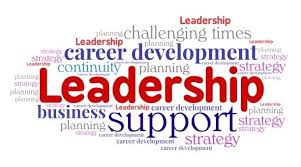 Leadership in career development