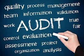 is being auditor a good career choice ?