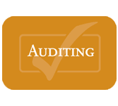 how to start auditing career 