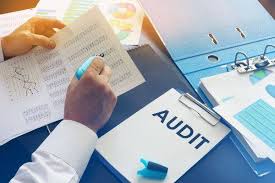 types of auditors 