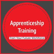 apprenticeships and the current workforce