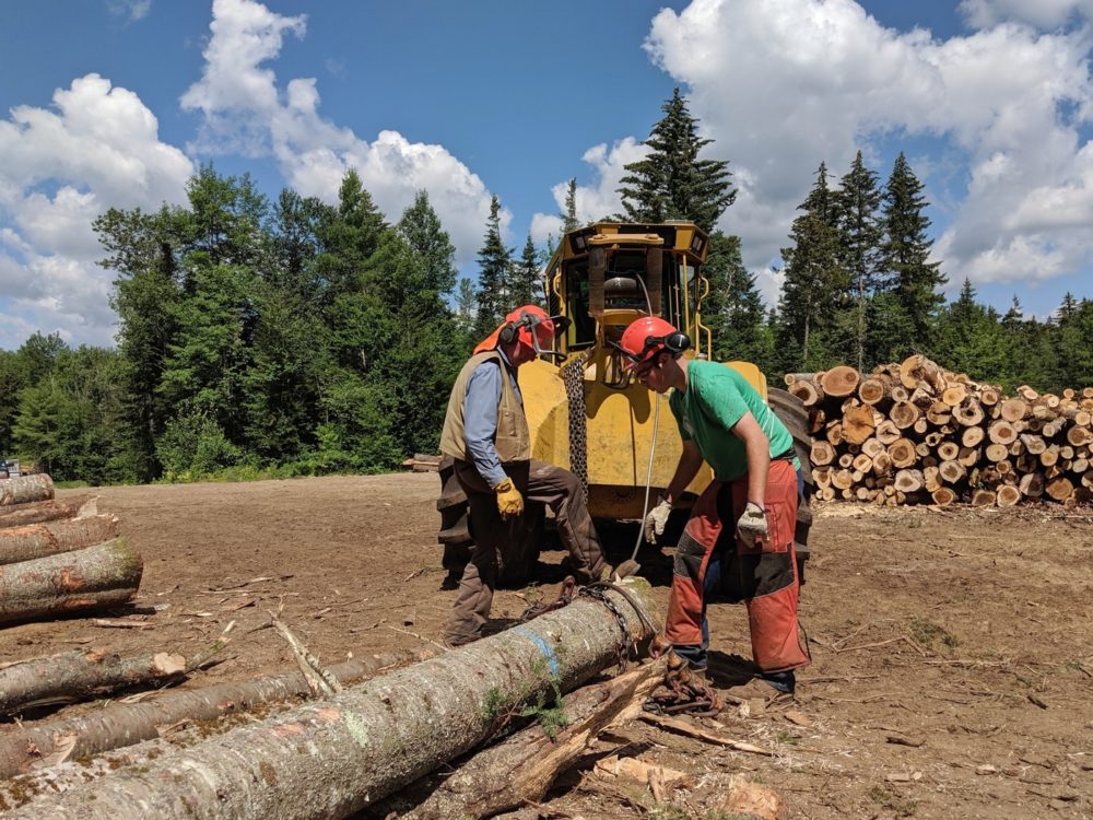 lumberjacks in canada 