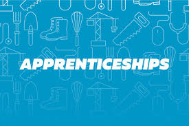 what is the use of an apprenticeship