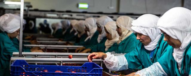 food industry in morocco find jobs